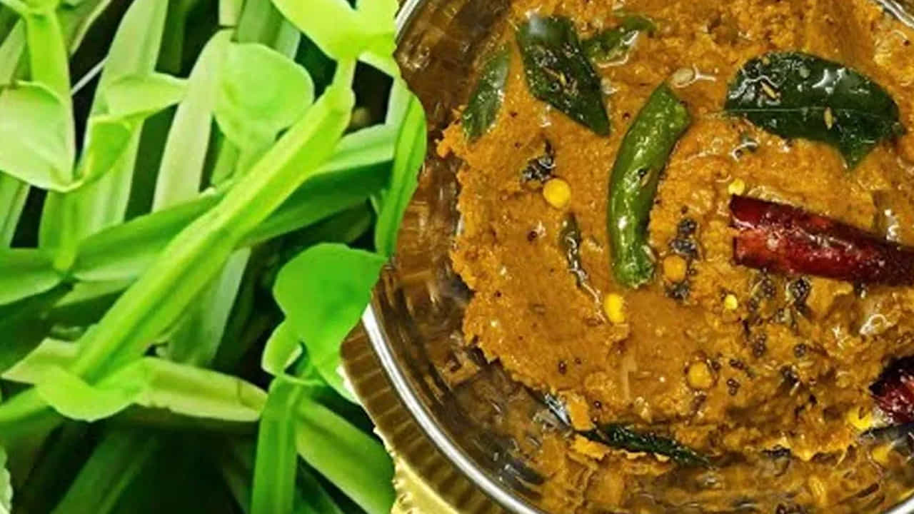 
కావాల్సిన పదార్థాలు: నల్లేరు కాడలు, నాలుగు టీ స్పూన్స్ ఆయిల్, 150 గ్రాములు పచ్చిమిర్చి, మూడు టమాటాలు , 10 వెల్లుల్లి రెబ్బలు, రెండు ఉల్లిపాయలు, 100 గ్రాములు చింతపండు, ఒక టీ స్పూన్ కారం, రుచికి తగినంత ఉప్పు, అర టీ స్పూన్ ఆవాలు , అర టేబుల్ స్పూన్ 5 ఎండు మిర్చి, నాలుగు కరివేపాకులు ఆకులు తీసుకోవాలి.