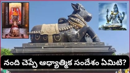 శివాలయం ముందు నంది విగ్రహం ఎందుకు ఉంటుంది? దీని వెనుక ఉన్న..
