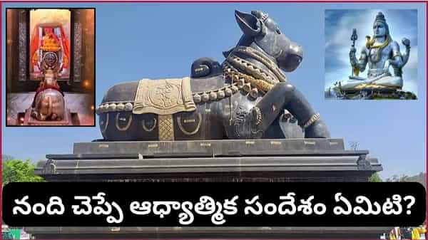Nandi: శివాలయం ముందు నంది విగ్రహం ఎందుకు ఉంటుంది? దీని వెనుక ఉన్న ఆధ్యాత్మిక రహస్యం ఇదే!