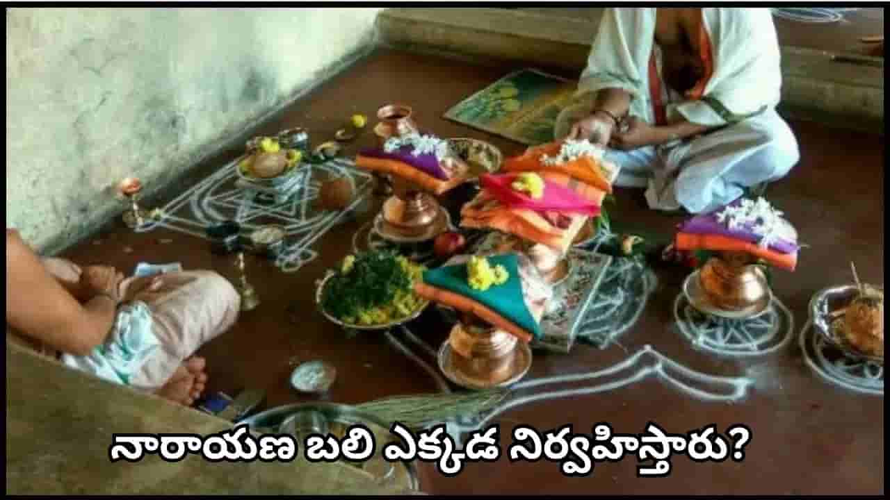 Narayana Bali: నారాయణ బలి అంటే ఏమిటి? మరణం తర్వాత ఈ పూజను ఎప్పుడు, ఎలా చేస్తారో తెలుసా?