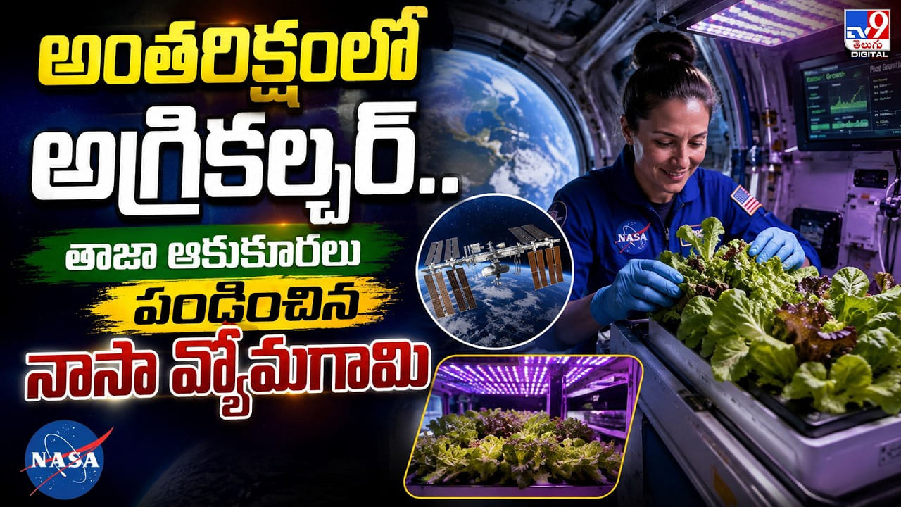 అంతరిక్షంలో అగ్రికల్చర్.. తాజా ఆకుకూరలు పండించిన నాసావ్యోమగామి అంతరిక్షంలో అగ్రికల్చర్.. తాజా ఆకుకూరలు పండించిన నాసావ్యోమగామి