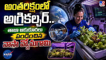 అంతరిక్షంలో అగ్రికల్చర్.. తాజా ఆకుకూరలు పండించిన నాసా వ్యోమగామి