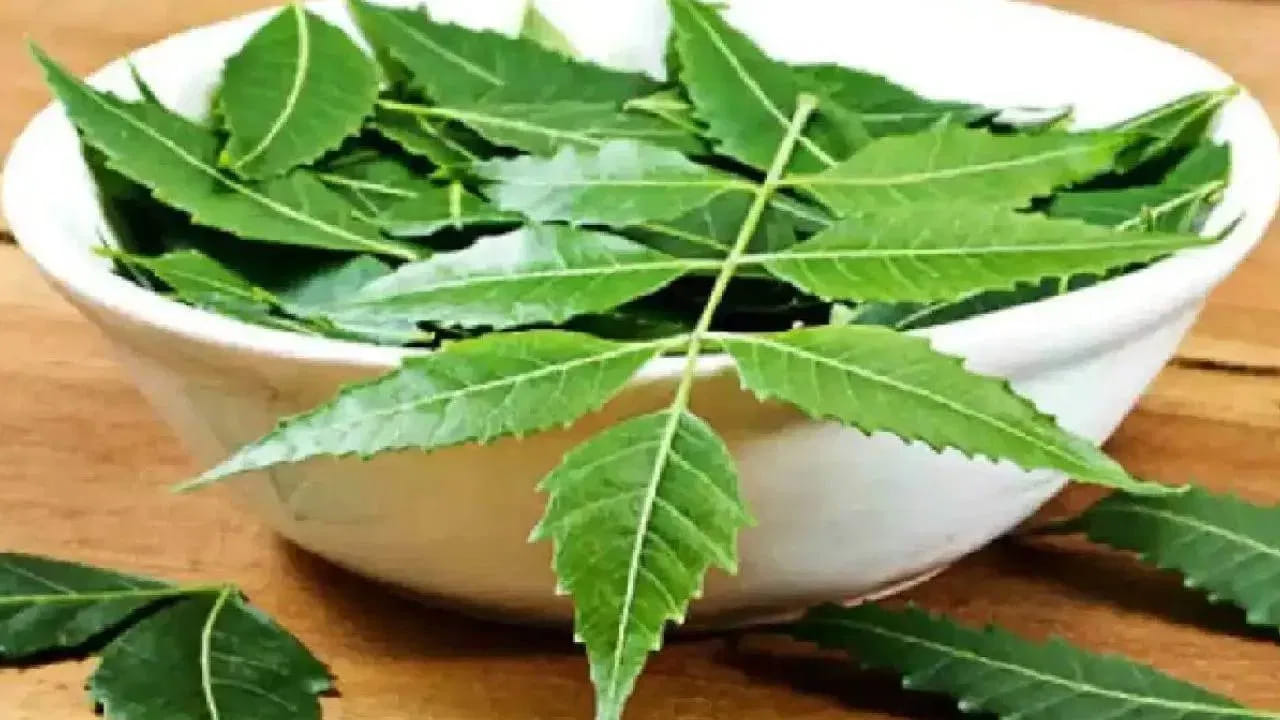 Neem 5