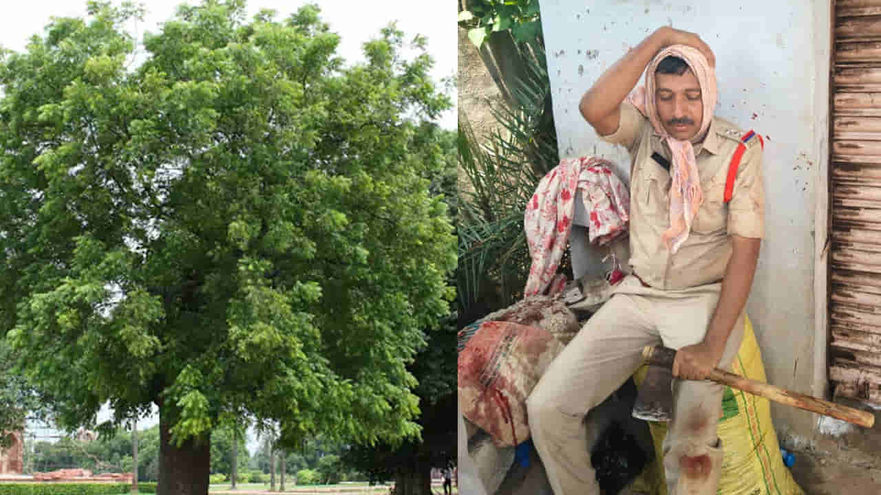 దారుణం.. వేపచెట్టు వివాదంలో ఇద్దరి హత్య.. అడ్డొచ్చిన ఎస్ఐని వదలని దుండగులు!