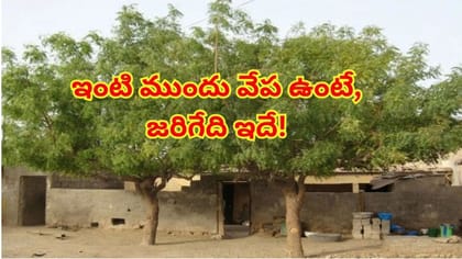 ఇంటి ముందు వేప చెట్టు ఉంటే ఏం జరుగుతుంది?వాస్తు శాస్త్రం చెప్పేది