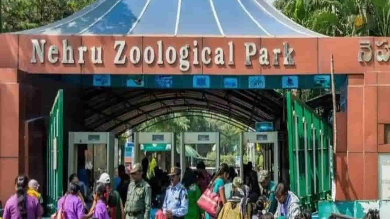 Hyderabad: వీకెండ్స్లో నెహ్రూ జూపార్క్కు వెళుతున్నారా..? టికెట్ల రేట్లు భారీగా పెరిగాయ్.. ఇప్పటినుంచి ఎంతంటే..?