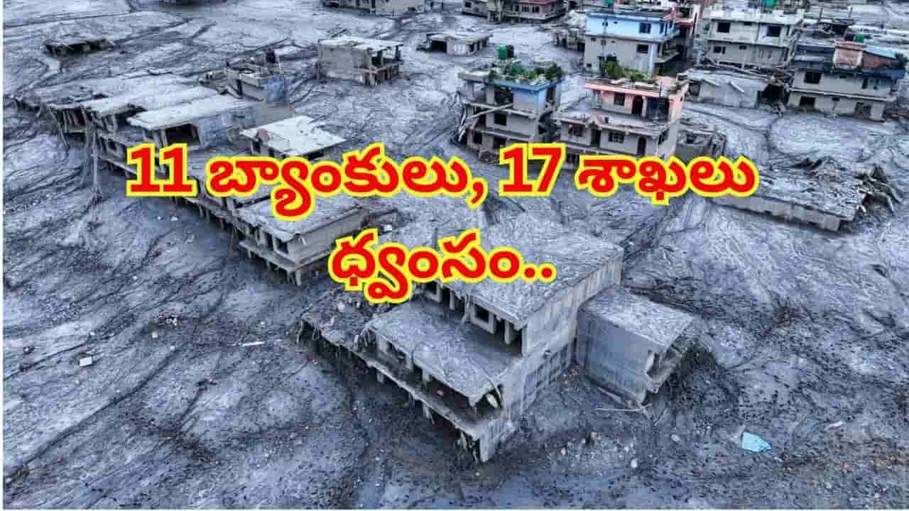 నేపాల్ వరదల బీభత్సం: 11 బ్యాంకులు, 17 శాఖలు ధ్వంసం.. ఎంత సొమ్ము కొట్టుకుపోయిందంటే?