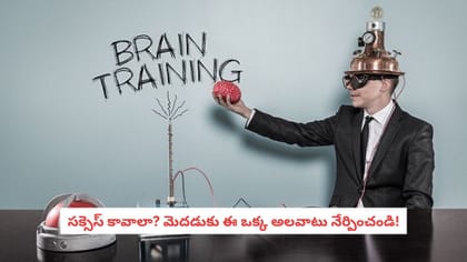 సక్సెస్ కావాలా? మెదడుకు ఈ ఒక్క అలవాటు నేర్పించండి!