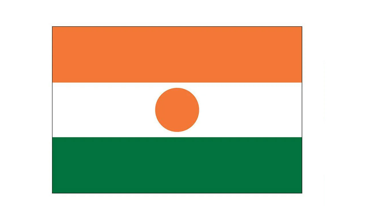 Niger Flag