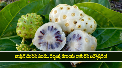చావునే చంపేసే పండు.. దెబ్బతిన్న కణాలను బాగుచేసే దివ్యౌషధం!