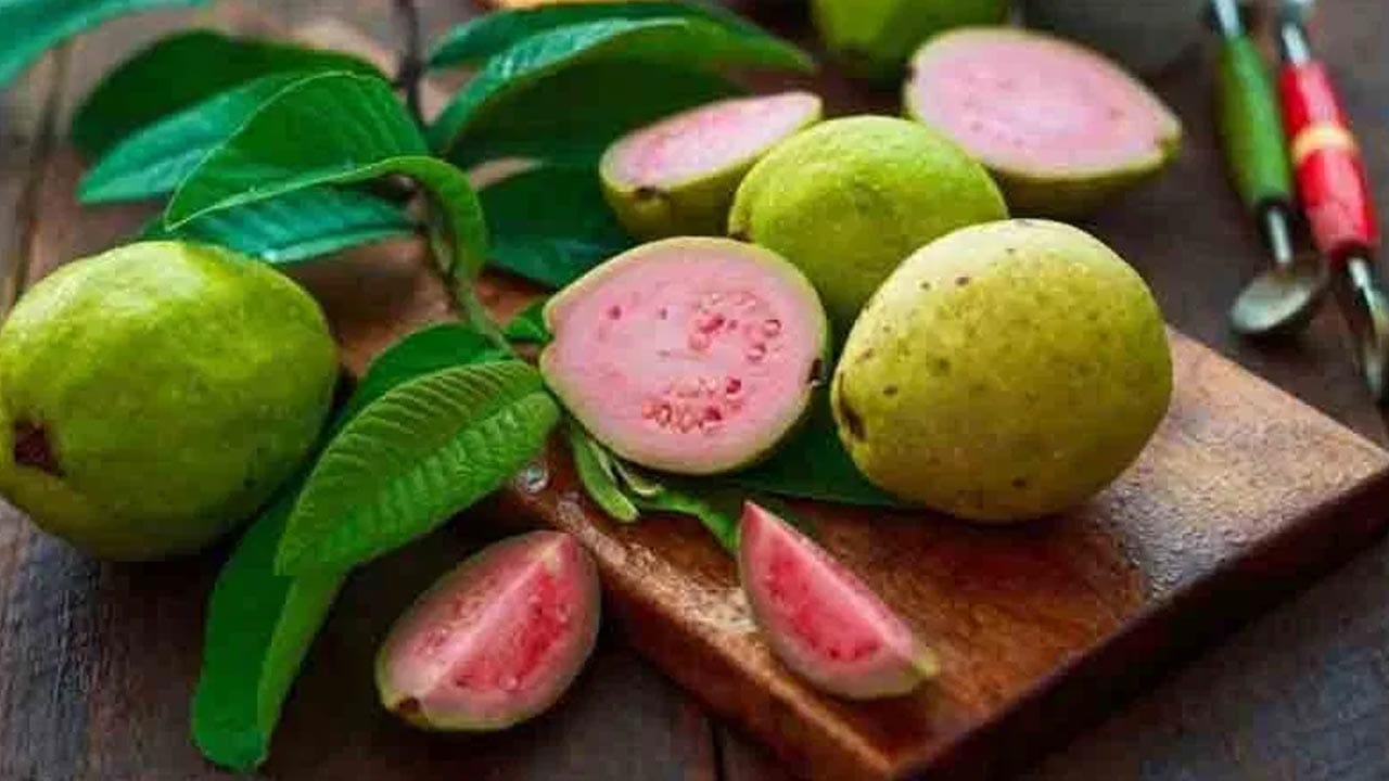 విరేచనాలు: జామపండ్లలో విటమిన్ సి, నీటి శాతం ఎక్కువగా ఉంటుంది. ఒకేసారి 3-4 జామపండ్లను తింటే, శరీరంలో ఫైబర్ పరిమాణం పెరిగి లూజ్ మోషన్స్ లేదా విరేచనాలకు దారితీయవచ్చు. ఏదైనా పండును పరిమితంగా తిన్నప్పుడే దాని పూర్తి పోషకాలు శరీరానికి అందుతాయి. రోజుకు ఒకటి లేదా రెండు జామపండ్లను ఉదయం లేదా మధ్యాహ్నం సమయంలో తినడం సురక్షితం. రాత్రి వేళల్లో మరియు ఖాళీ కడుపుతో తినకపోవడమే మంచిది.