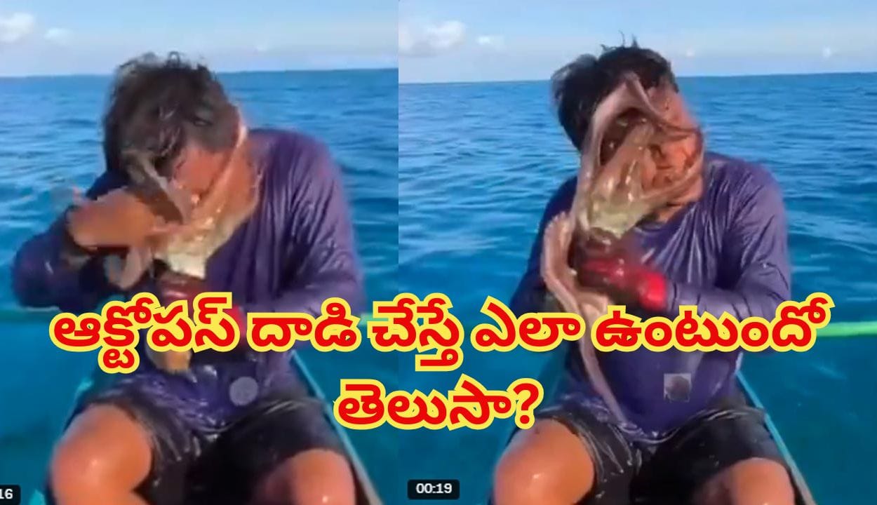 Viral Video: సముద్రంలో వేటకు వెళ్లిన జాలరి.. హఠాత్తుగా దాడి చేసిన ఆక్టోపస్..! ఆ భయానక దృశ్యం చూస్తే..