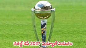 2027 వన్డే ప్రపంచకప్‌కు కౌంట్‌డౌన్.. షెడ్యూల్ ప్రకటించిన ఐసీసీ