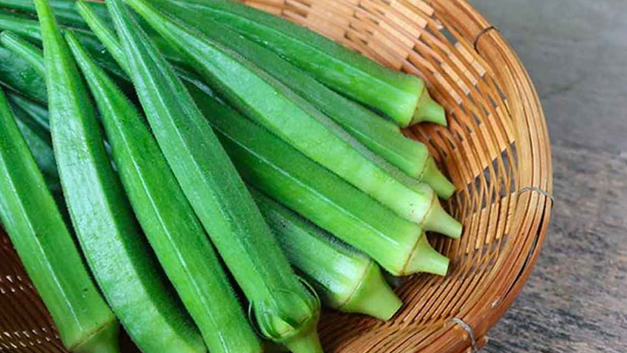 Okra 3