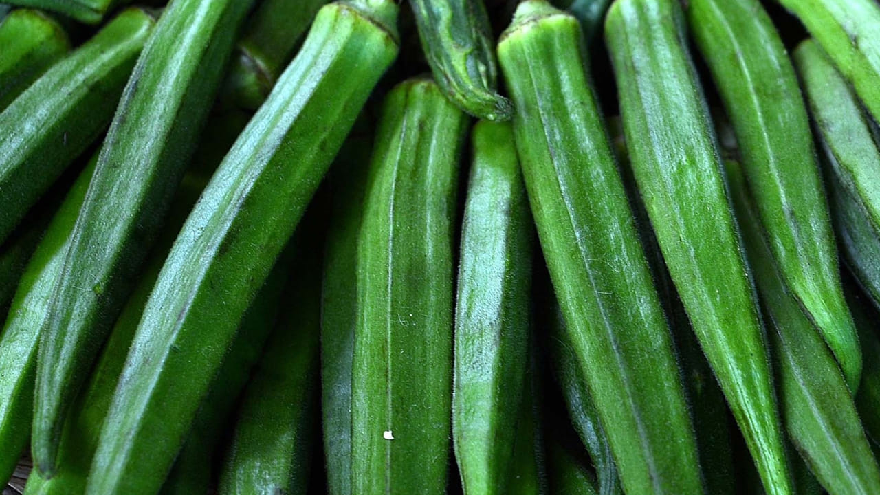 Okra