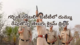 గర్భిణీ నరబలి.. ఓటీటీలో దుమ్మురేపుతోన్న తెలుగు క్రైమ్ థ్రిల్లర్