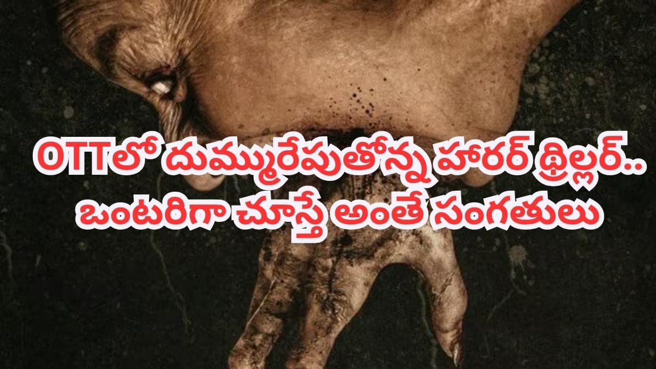 OTT Movie: ఓటీటీలో ఒళ్లు గగుర్పొడిచే హారర్ థ్రిల్లర్.. తెలుగులోనూ ఉంది.. ఒంటరిగా చూస్తే అంతే సంగతులు