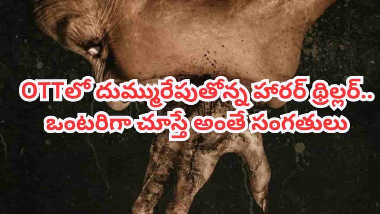 OTT Movie: ఓటీటీలో ఒళ్లు గగుర్పొడిచే హారర్ థ్రిల్లర్.. తెలుగులోనూ ఉంది.. ఒంటరిగా చూస్తే అంతే సంగతులు