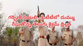 గర్భిణీ నరబలి.. ఓటీటీలో దుమ్మురేపుతోన్న తెలుగు క్రైమ్ థ్రిల్లర్