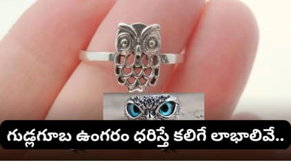 గుడ్లగూబ ఉంగరం ధరించడం వల్ల ఎలాంటి లాభాలో తెలుసా? ఏ వేలికి..