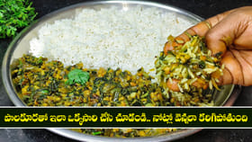 పాలకూరతో ఇలా ఒక్కసారి చేసి చూడండి.. నోట్లో వెన్నలా కరిగిపోతుంది