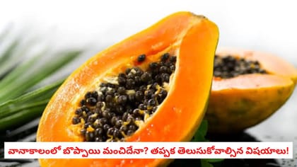 వానాకాలంలో బొప్పాయి మంచిదేనా? తప్పక తెలుసుకోవాల్సిన విషయాలు!