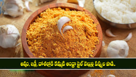 అన్నం, ఇడ్లీ, దోశల్లోకి ఆంధ్రా స్టైల్ వెల్లుల్లి పప్పుల పొడి