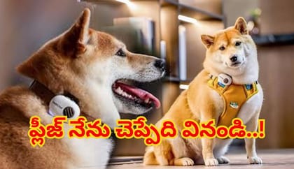 మీ పప్పి ఏం చెబుతుందో వినండి.. పెంపుడు జంతువుల మనసులోని మాటలు