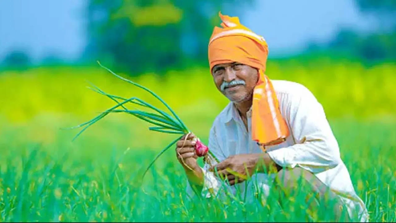 PM Kisan: రైతులకు గుడ్ న్యూస్.. పీఎం కిసాన్‌పై బిగ