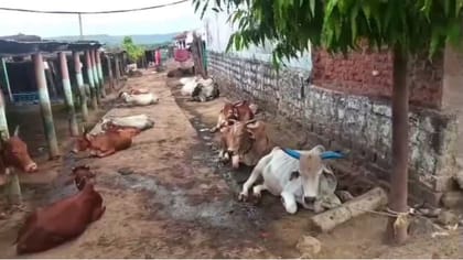 పుట్టినప్పటి నుంచి ఒక్క పాల ప్యాకెట్ కొనని ఏకైక గ్రామం!