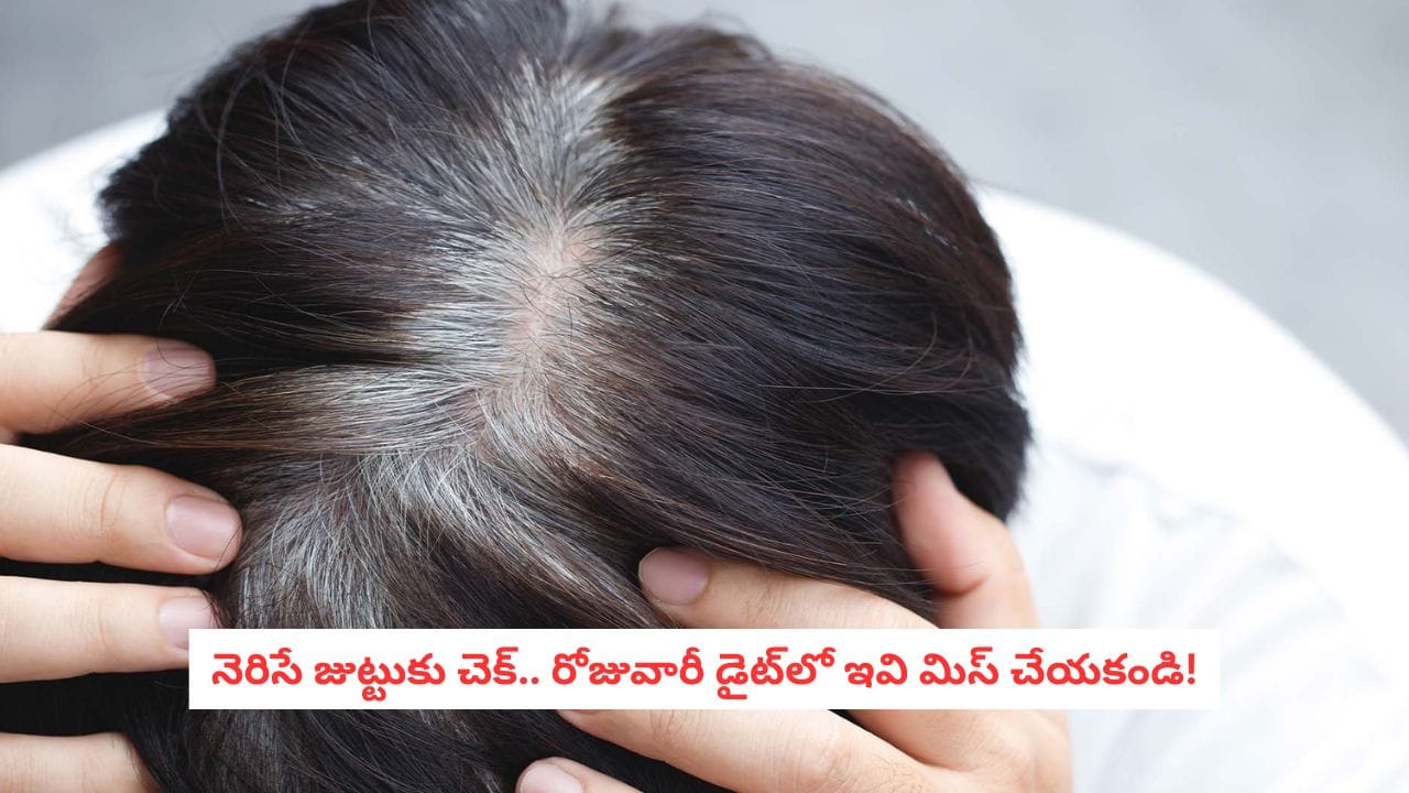Grey Hair: చిన్న వయసులోనే జుట్టు నెరసిపోతోందా? ఈ 6 ఆహారాలు మీ డైట్లో ఉండాల్సిందే!