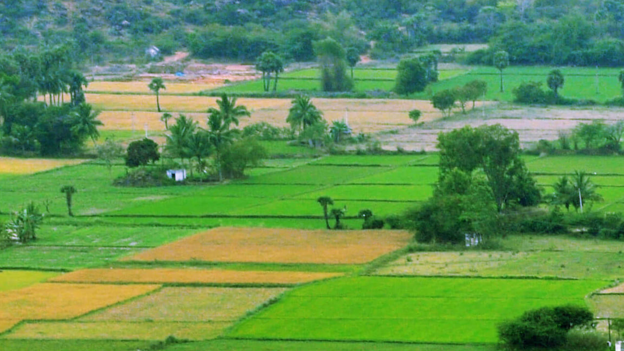 హిందూ వారసత్వ చట్టం ప్రకారం.. తల్లిదండ్రులు, పూర్వీకుల ఆస్తిలో కొడుకులు, కూతుళ్లకు సమాన హక్కులు ఉంటాయి. అయితే చట్టపరమైన ప్రక్రియను అనుసరించి ఆస్తులను పంచుకోవాల్సి ఉంటుంది. 1978లో 44వ రాజ్యాంగ సవరణ ద్వారా ఆస్తి హక్కును ప్రాథమిక హక్కుల జాబితా నుండి తొలగించారు. దీంతో ఆస్తి అనేది ప్రాథమిక హక్కు కిందకు రాదు. కేవలం చట్టపరమైన హక్కుగానే ఉంటుంది.