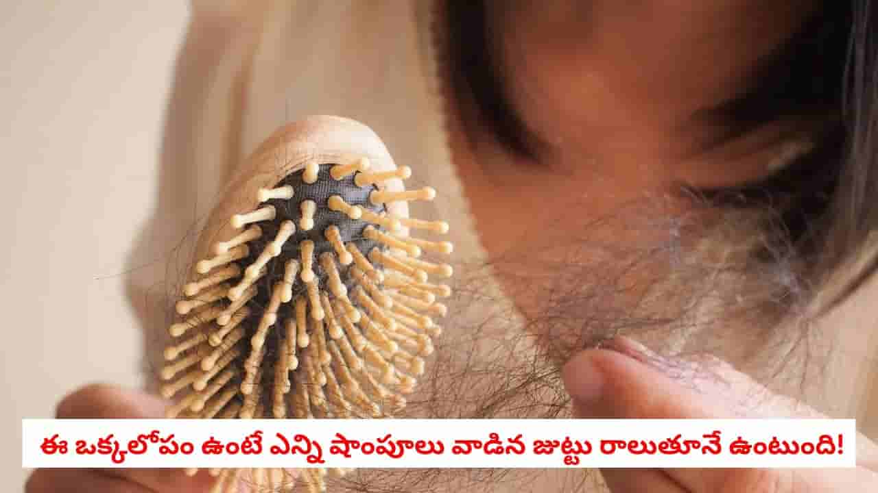 Hair Care Tips: ఎన్ని షాంపూలు మార్చినా జుట్టు రాలడం ఆగట్లేదా?.. అసలు కారణం ఇదే కావచ్చు!