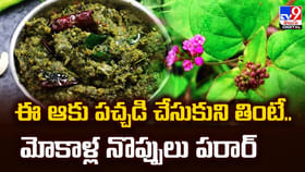 ఈ ఆకు పచ్చడి చేసుకుని తింటే.. మోకాళ్ల నొప్పులు పరార్‌