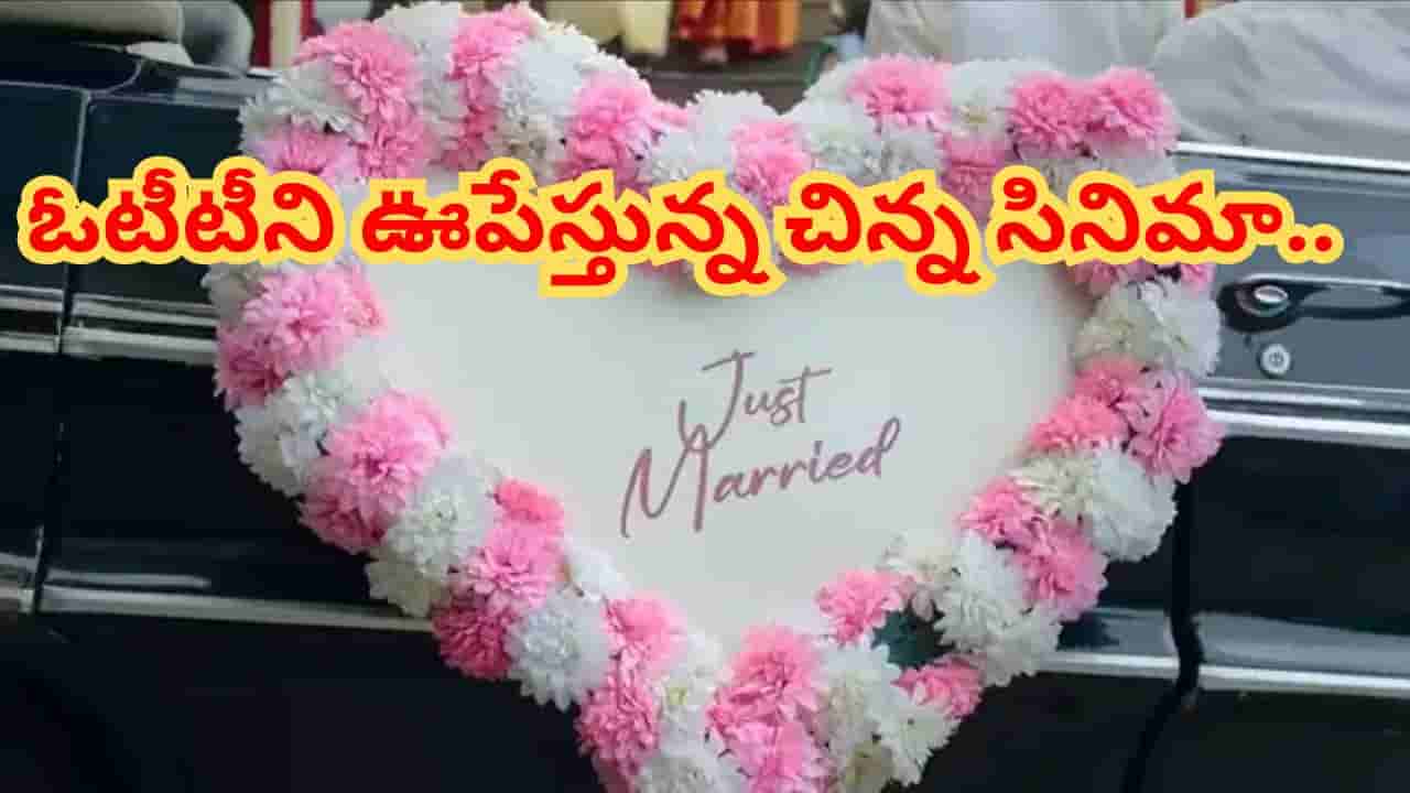 Cinema : అల్లుడు ఇల్లరికం వస్తే.. ఓటీటీని ఊపేస్తున్న రొమాంటిక్ మూవీ.. ట్రెండింగ్లో నంబర్ వన్..