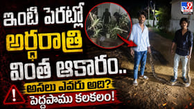 ఇంటి పెరట్లో అర్ధరాత్రి వింత ఆకారం..