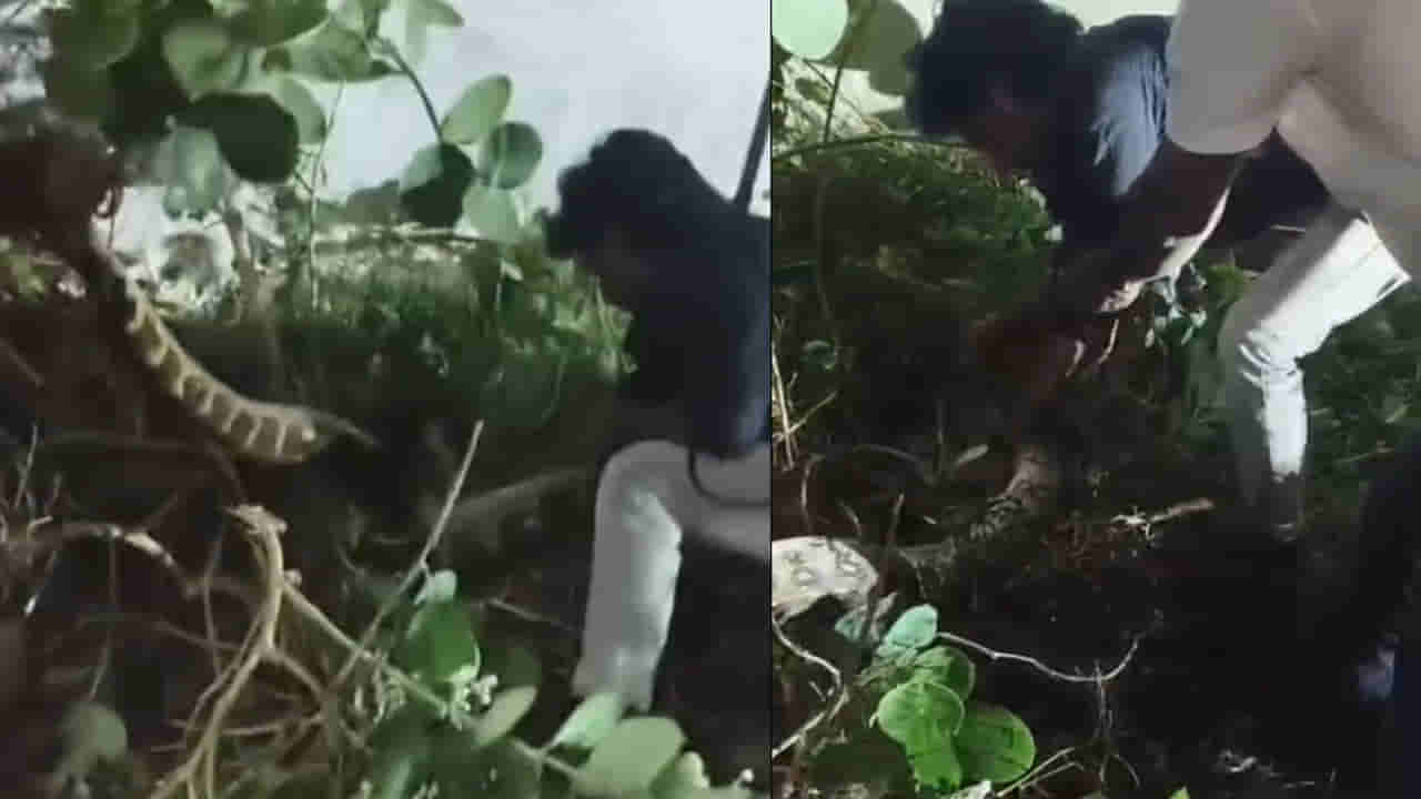 Andhra Pradesh: అర్ధరాత్రి 10 అడుగుల భయంకర రూపం.. వీడియో చూస్తే నోరెళ్లబెట్టాల్సిందే..
