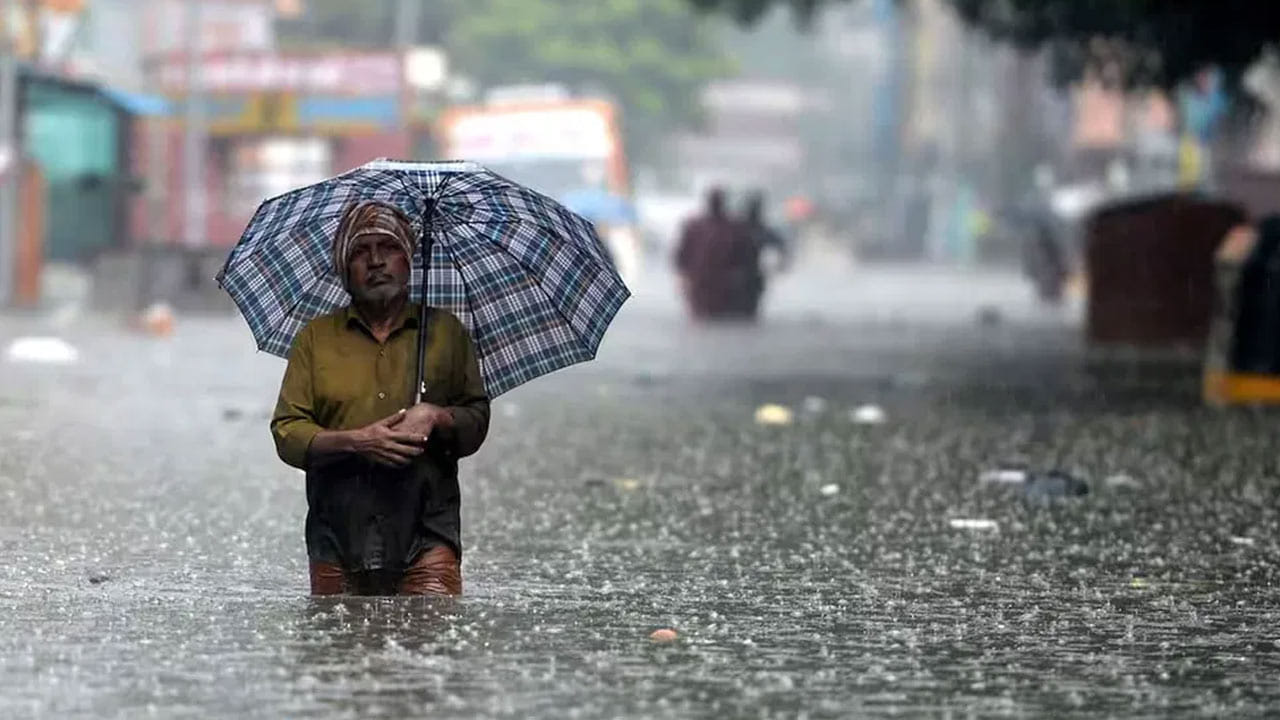 Rain Alert