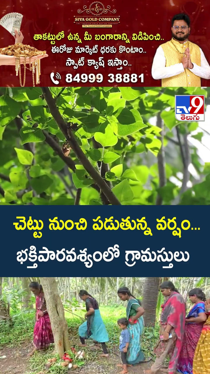 చెట్టు నుంచి పడుతున్న వర్షం... భక్తిపారవశ్యంలో గ్రామస్తులు