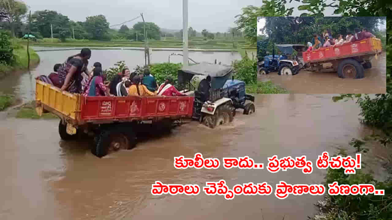వాగు దాటేందుకు ట్రాక్టర్ ఎక్కిన ప్రభుత్వ మహిళా టీచర్లు! మధ్యలోకి వెళ్లగానే..