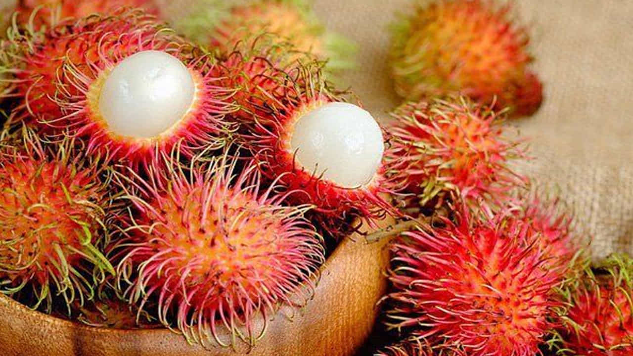 ఫైబర్ పుష్కలంగా ఉండటం వల్ల ఇది మలబద్ధకం సమస్యను నివారించి, జీర్ణక్రియను మెరుగుపరుస్తుంది. ఈ పండులో నీటి శాతం ఎక్కువ. ఇది మూత్రపిండాల్లో రాళ్లను కరిగించడంలో శక్తివంతంగా పనిచేస్తుందని నమ్ముతారు. యాంటీఆక్సిడెంట్లు, విటమిన్లు చర్మంపై ముడతలు, అకాల వృద్ధాప్యాన్ని నివారించి చర్మ ఆరోగ్యాన్ని కాపాడతాయి. అలాగే కంటి ఆరోగ్యానికి కూడా ఇది మేలు చేస్తుంది.