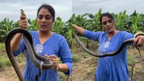 ఈ పాము ఎంత మంచిదో.. రైతులకు చూసే మేలు అంతా ఇంత కాదు.. వీడియో..