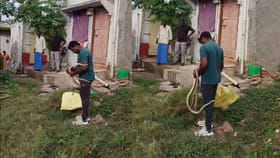 ఇంటిపక్కన జెర్రిపోతుల సయ్యాట.. పట్టుకోవడానికి వెళ్లిన..