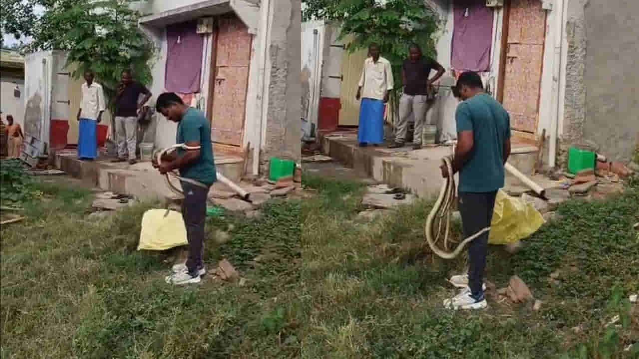 Andhra Pradesh: ఇంటిపక్కన జెర్రిపోతుల సయ్యాట.. పట్టుకోవడానికి వెళ్లిన స్నేక్ క్యాచర్ను చుట్టుకొని.. మీరే వీడియో చూడండి..