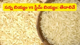 సన్న బియ్యం Vs స్టీమ్ బియ్యం.. ఆరోగ్యానికి ఏవి మంచివి..?