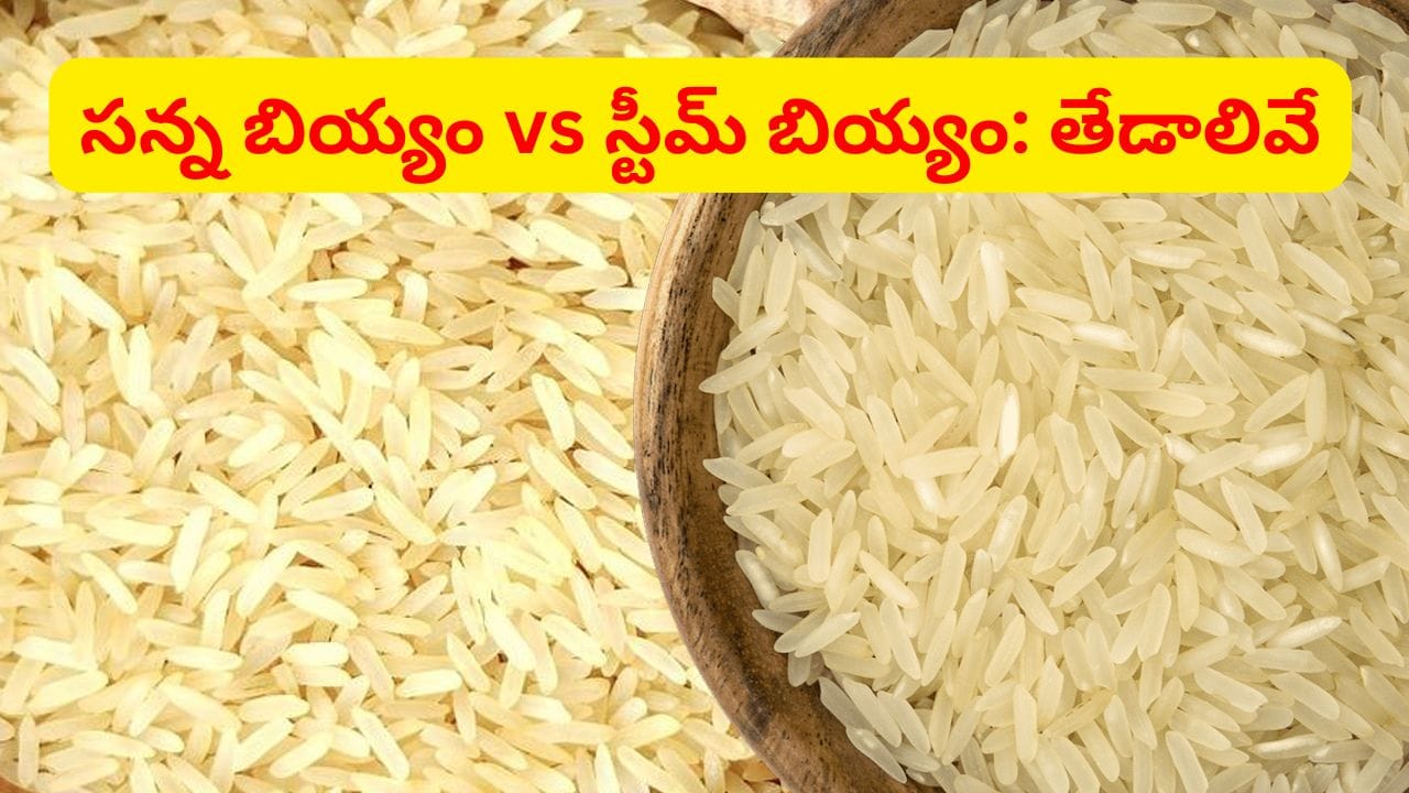 సన్న బియ్యం Vs స్టీమ్ బియ్యం.. ఆరోగ్యానికి ఏవి మంచివి..? ఈ తేడాలు 100 శాతం ఎవ్వరికీ తెలీదు..
