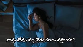 పీడకలలు ఎందుకు వస్తాయి? శాస్త్రం చెప్పే అసలు కారణాలు, పరిహారాలు..