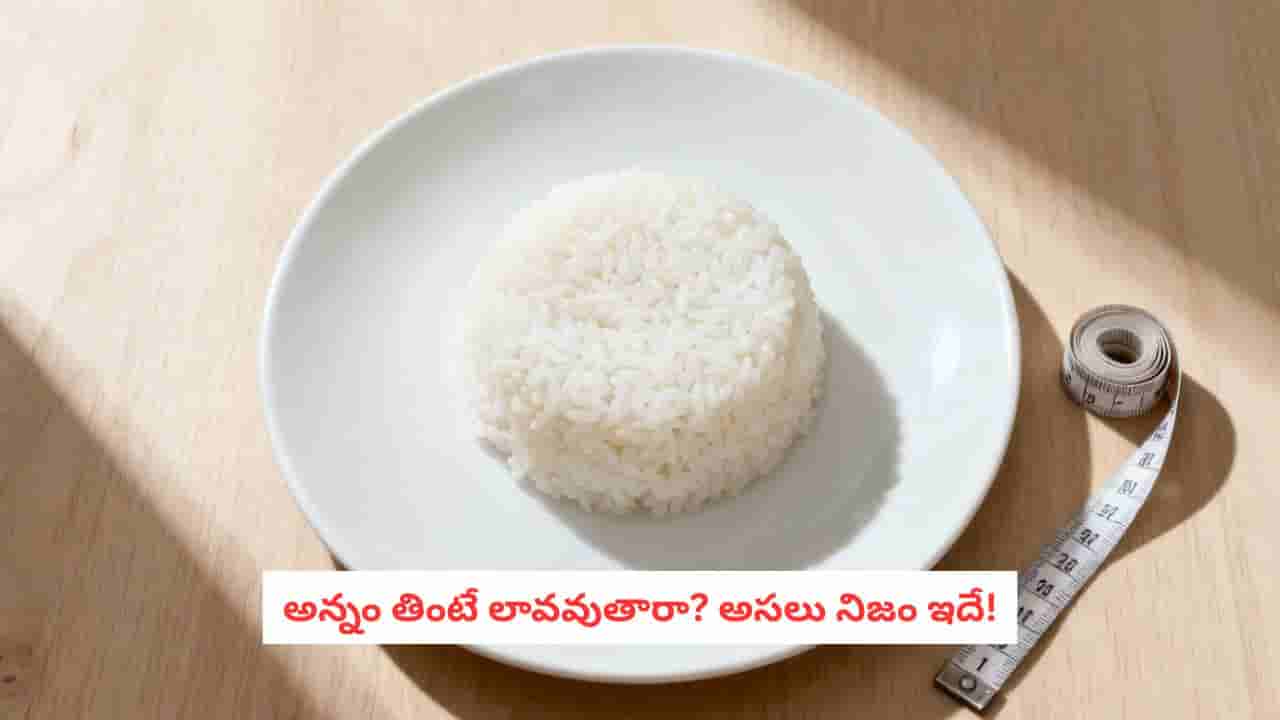 Rice for Weight Loss: అన్నం మానేస్తేనే బరువు తగ్గుతారా? డైటీషియన్ ఏం చెబుతున్నారంటే..
