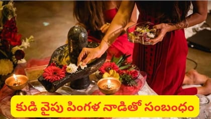 కుడి చేతితోనే దానం, పూజా కార్యక్రమాలు ఎందుకు చేస్తారు? దీని వెనుక