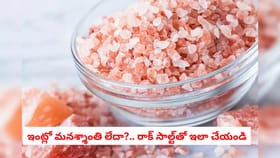 ఇంట్లో మనశ్శాంతి లేదా?.. రాక్ సాల్ట్‌తో ఇలా చేయండి